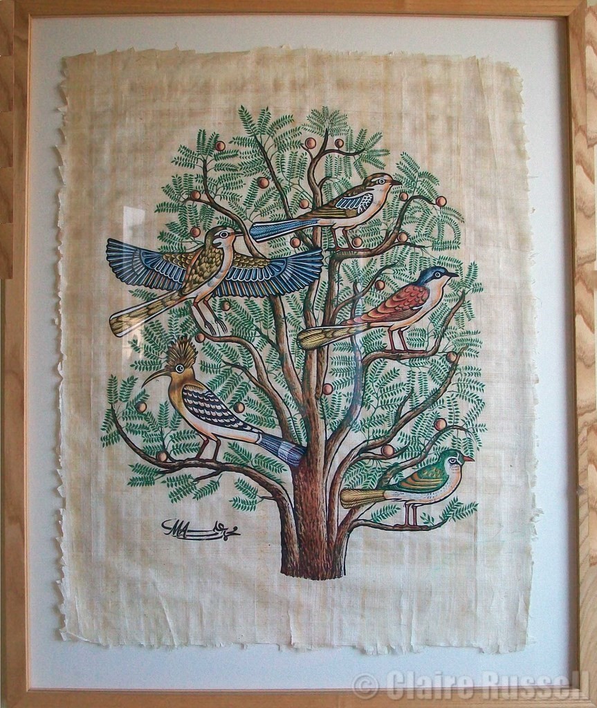 Floating papyrus in box frame